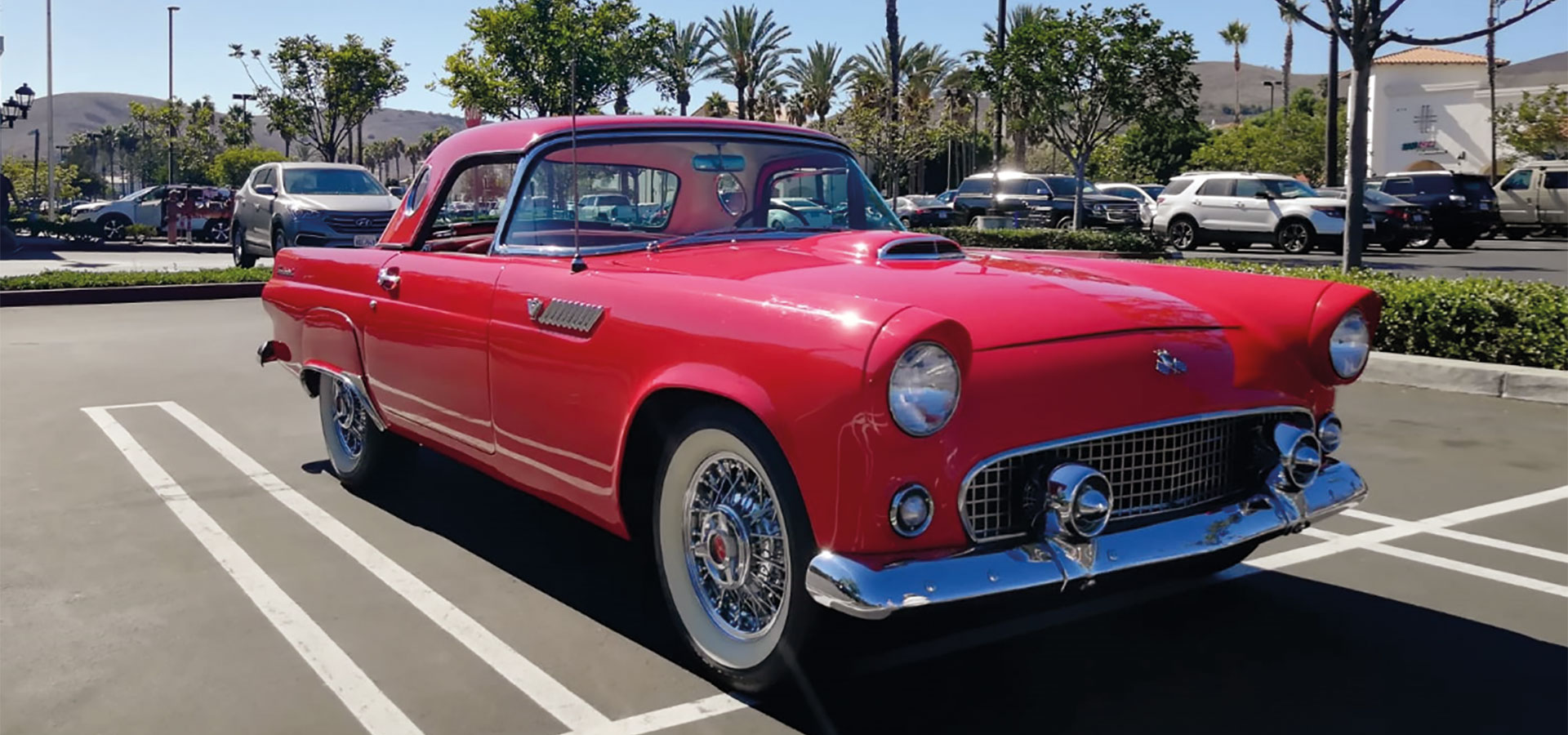 Thunderbird